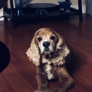 Meet your Posher, Karen